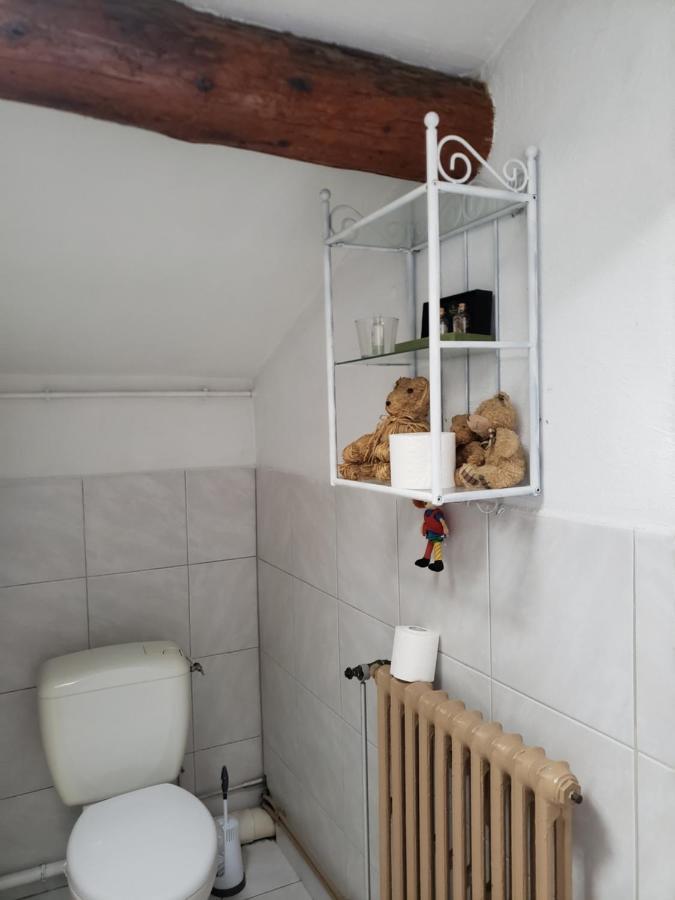 Chambre Dans Une Grande Maison Entre Canal Du Midi Et Centre Ville Béziers Eksteriør billede