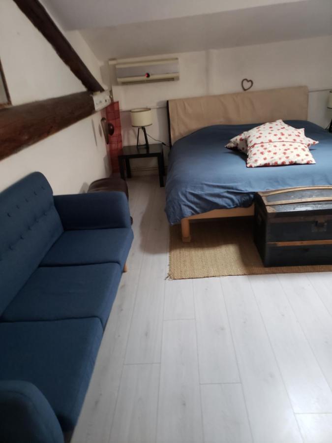 Chambre Dans Une Grande Maison Entre Canal Du Midi Et Centre Ville Béziers Eksteriør billede